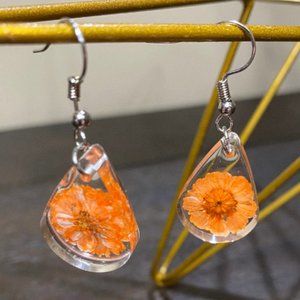 Orange Dasies